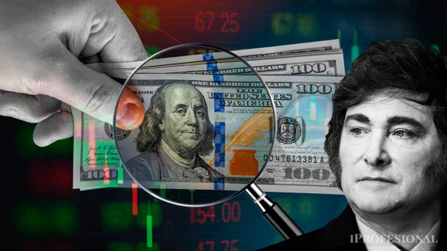 Dólar: el esquema cambiario que prevé el mercado, con un Milei enfocado en contener la inflación