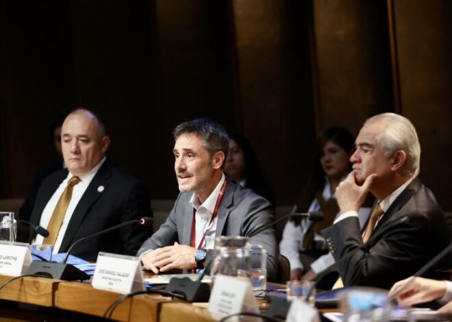 Las provincias argentinas se reúnen en Chile en busca de financiamiento para planes de desarrollo productivo Las provincias argentinas se reúnen en Chile en busca de financiamiento para planes de desarrollo productivo