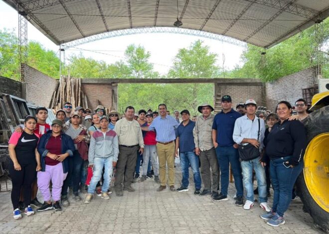 Femicidio en Chaco. La chanchería de los Sena: de “regalo” de Capitanich a expropiación de Zdero Femicidio en Chaco. La chanchería de los Sena: de “regalo” de Capitanich a expropiación de Zdero