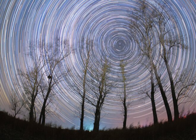 Danza de estrellas