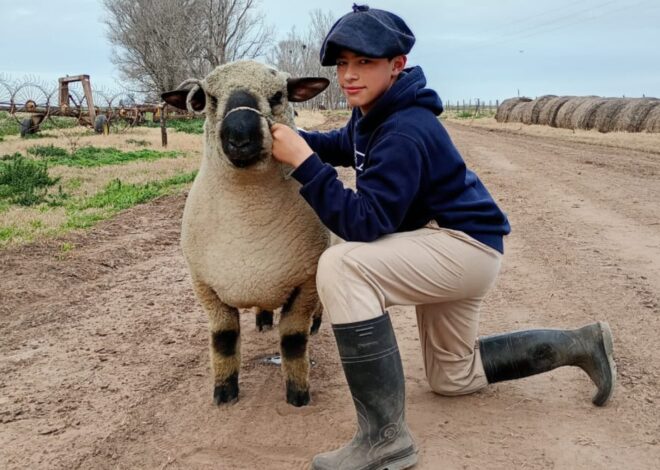 “Enorme esfuerzo”: el chico que a los 12 años es sensación por sacar campeones