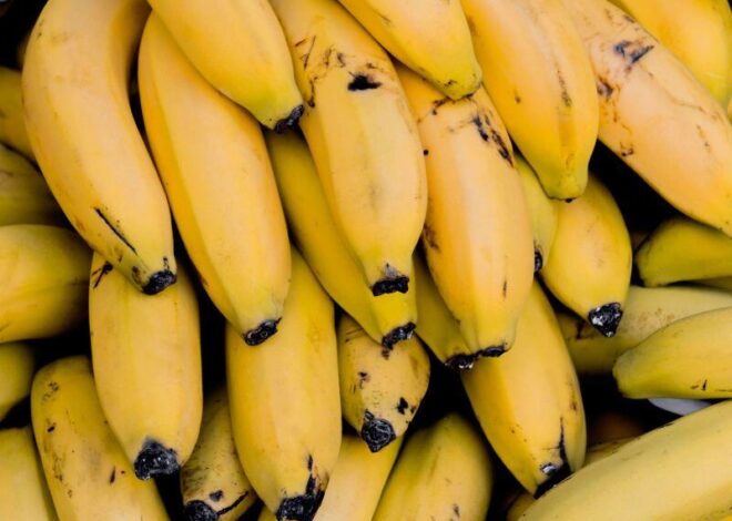 El truco para mantener las bananas amarillas y frescas durante días: así se debe guardar