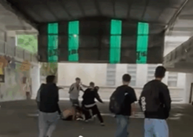 Violencia escolar en La Plata: una preceptora fue herida al intentar frenar una pelea entre un exalumno y otro estudiante Violencia escolar en La Plata: una preceptora fue herida al intentar frenar una pelea entre un exalumno y otro estudiante