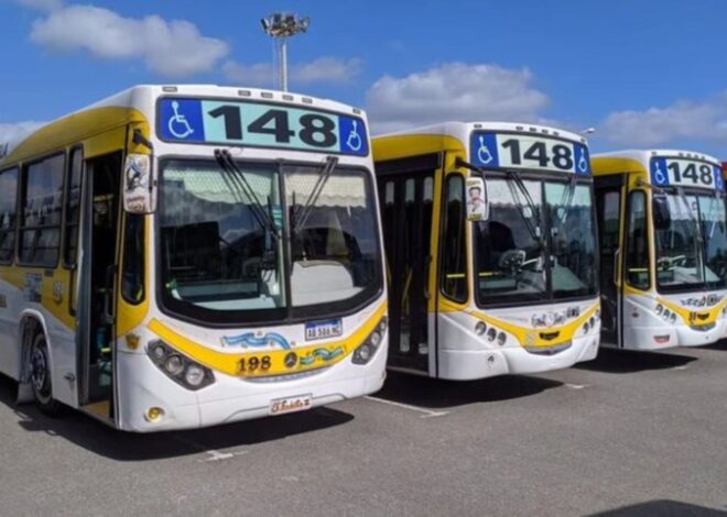 Paro de colectivos: cuáles son las líneas que no funcionan este viernes 7 de noviembre Paro de colectivos: cuáles son las líneas que no funcionan este viernes 7 de noviembre