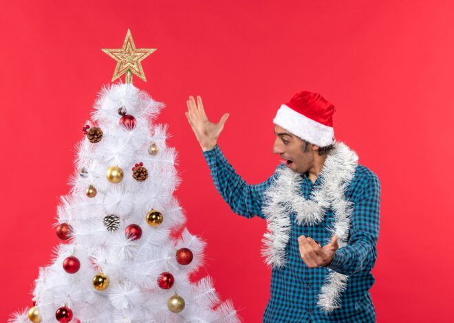 Cuál es el significado de cada adorno del arbolito de Navidad