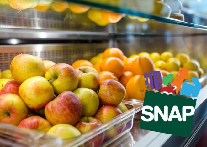 En Nueva Jersey: así queda el calendario de pago SNAP de diciembre 2025 En Nueva Jersey: así queda el calendario de pago SNAP de diciembre 2025