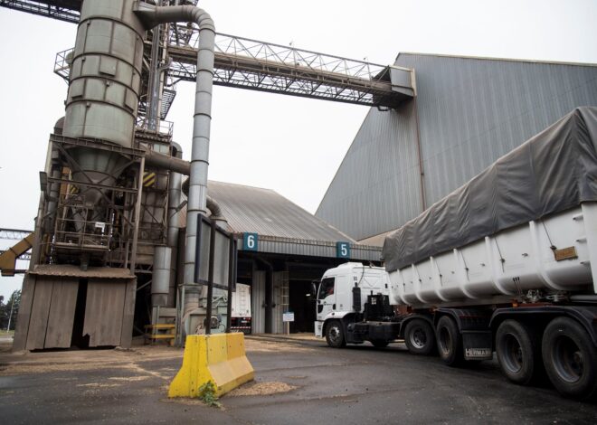 Investigación: revelan el fuerte efecto derrame que tendría producir más soja en la Argentina Investigación: revelan el fuerte efecto derrame que tendría producir más soja en la Argentina