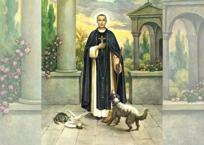 San Martín de Porres: cuál es su historia y qué oración rezar para pedir su ayuda San Martín de Porres: cuál es su historia y qué oración rezar para pedir su ayuda