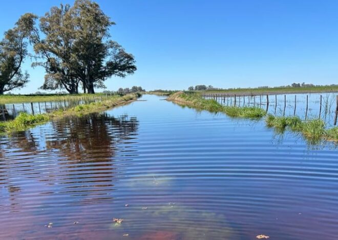 La infraestructura y la gobernanza del agua, en el tope de las prioridades La infraestructura y la gobernanza del agua, en el tope de las prioridades