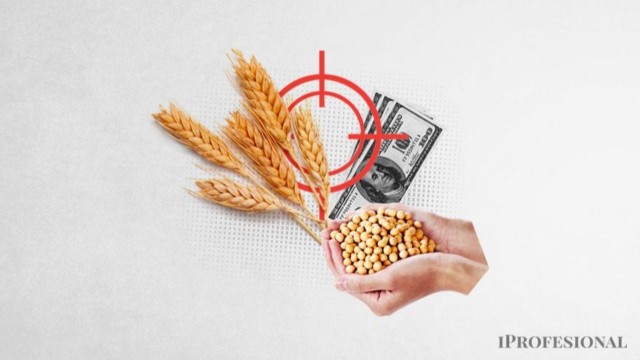 Baja temporal de retenciones a los granos: cuál fue el impacto en las exportaciones del agro