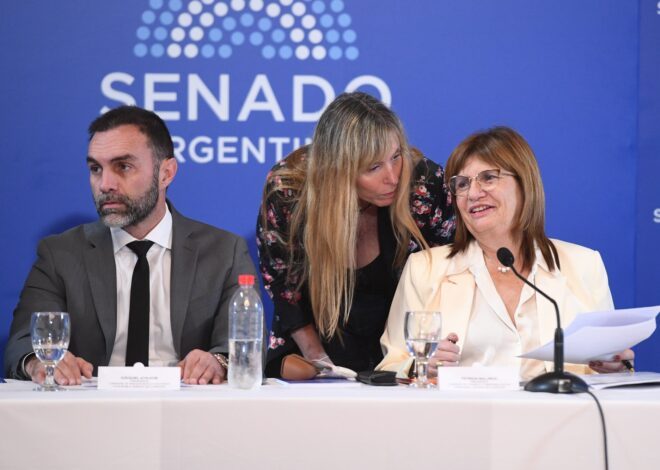 Senado: Patricia Bullrich obtuvo su dictamen, pero la reforma laboral recién se discutirá en el recinto en febrero Senado: Patricia Bullrich obtuvo su dictamen, pero la reforma laboral recién se discutirá en el recinto en febrero
