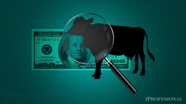 Cómo invertir en vacas sin saber de ganadería y ganar hasta 8% por encima de la inflación