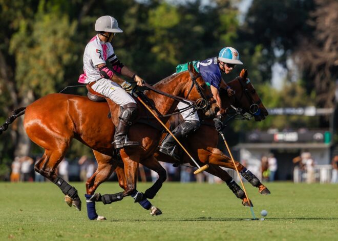 Abierto de Palermo: La Natividad-La Dolfina y UAE Polo definen el primer finalista, en un duelo de varios excompañeros Abierto de Palermo: La Natividad-La Dolfina y UAE Polo definen el primer finalista, en un duelo de varios excompañeros