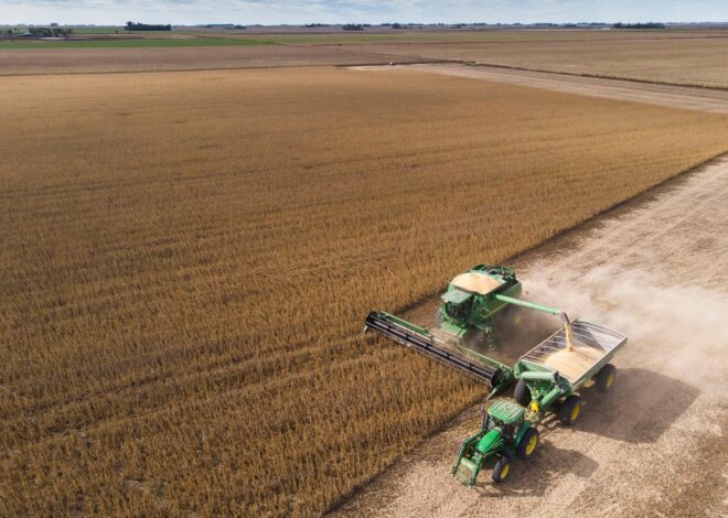 El Gobierno oficializó la baja de las retenciones para la soja, el maíz, el trigo, la cebada, el sorgo y el girasol El Gobierno oficializó la baja de las retenciones para la soja, el maíz, el trigo, la cebada, el sorgo y el girasol