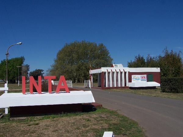 “Negociado inmobiliario”: exfuncionarios de Agricultura peronistas y kirchneristas fustigaron la reforma del INTA del Gobierno “Negociado inmobiliario”: exfuncionarios de Agricultura peronistas y kirchneristas fustigaron la reforma del INTA del Gobierno