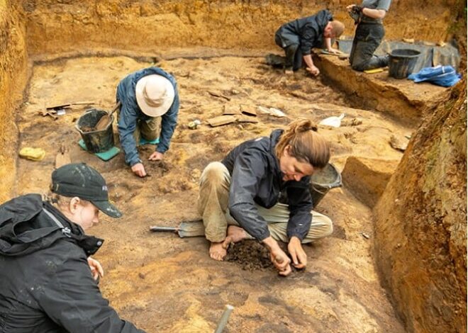 “La hoguera de Barnham”. Por qué se considera que los neandertales encendieron el primer fuego de la humanidad “La hoguera de Barnham”. Por qué se considera que los neandertales encendieron el primer fuego de la humanidad