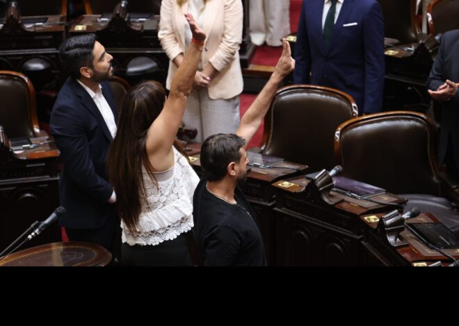 Bochornosa asunción de diputados nacionales