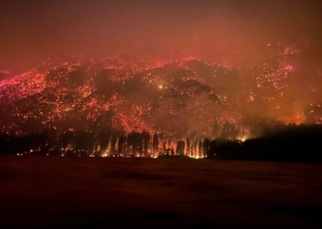 “Empezó a ser muy difícil respirar”: los dramáticos testimonios de los evacuados por los incendios forestales en Chubut