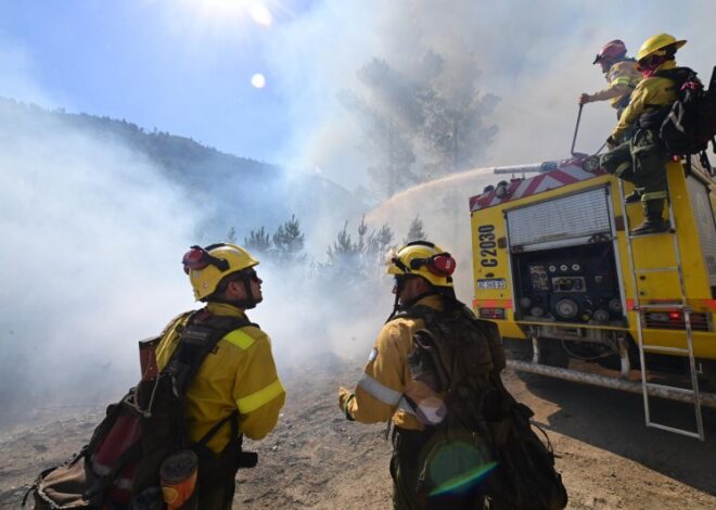 El fiscal desmiente al gobierno y descarta que grupos mapuches hayan provocado los incendios El fiscal desmiente al gobierno y descarta que grupos mapuches hayan provocado los incendios