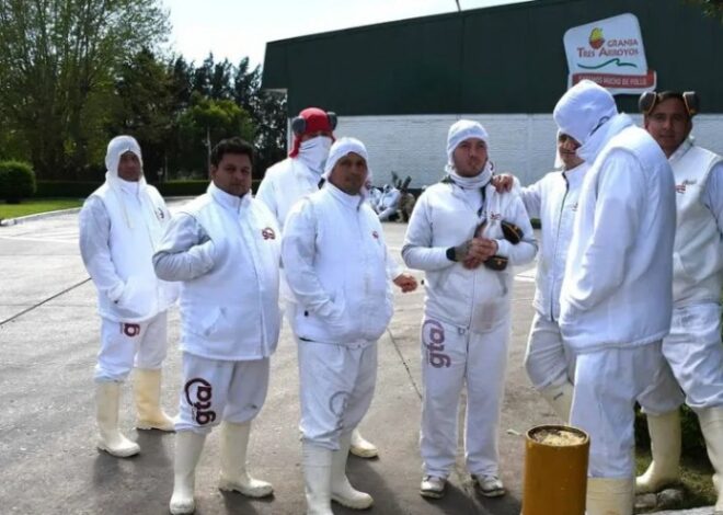 Más de 300 operarios paralizan una planta de Granja Tres Arroyos por deudas salariales Más de 300 operarios paralizan una planta de Granja Tres Arroyos por deudas salariales
