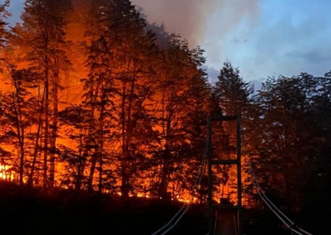 Incendios en Chubut: que se sabe del avance del fuego