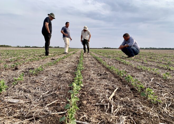 Empresas familiares rurales: cómo hacer para trascender y no abandonar Empresas familiares rurales: cómo hacer para trascender y no abandonar