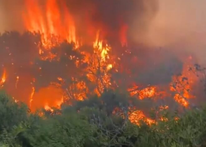Video: impresionante incendio en el bosque entre Pinamar y Costa Esmeralda Video: impresionante incendio en el bosque entre Pinamar y Costa Esmeralda