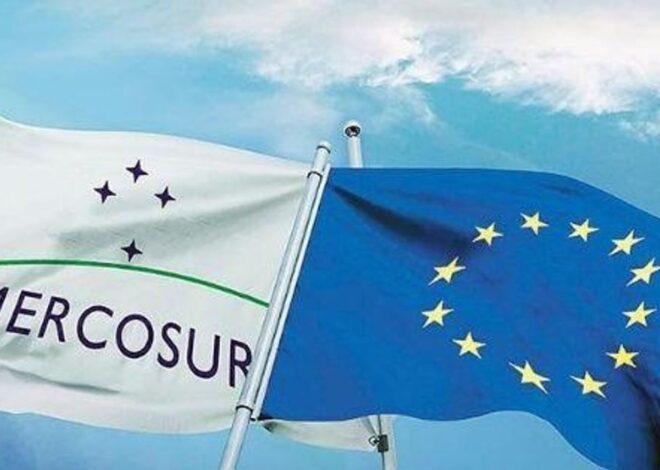 Qué esperan los expertos internacionales del acuerdo entre la UE y el Mercosur Qué esperan los expertos internacionales del acuerdo entre la UE y el Mercosur