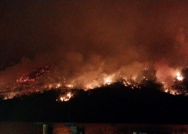 Incendios en Chubut: afirman que el origen es intencional y ofrecen $50.000.000 de recompensa para dar con los responsables