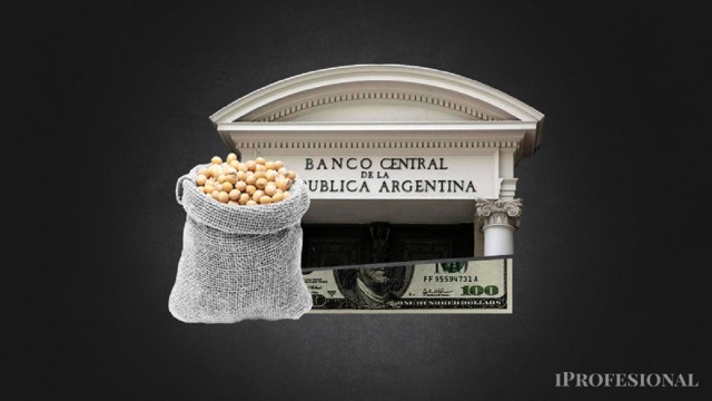 Sube el precio de la soja, pero los productores argentinos prefieren esperar a que se mueva el dólar