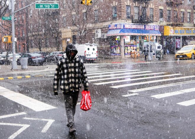 Alerta en Nueva York por tormenta de frío invernal, hoy: trayectoria y cuántas pulgadas de nieve se esperan