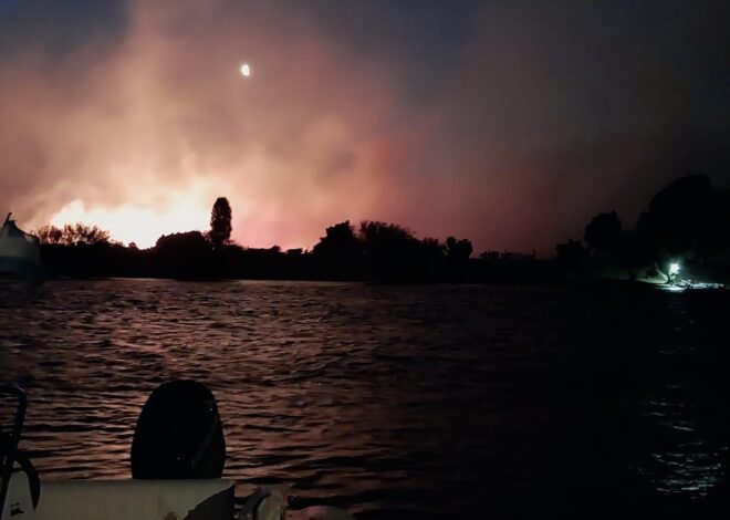 “Origen claramente intencional”: nuevos incendios no dan tregua en el parque Los Alerces y se inician acciones legales