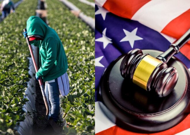 Duro golpe para migrantes: el Uscis pide que los que tengan asilo pendiente esperen un año entero para poder trabajar Duro golpe para migrantes: el Uscis pide que los que tengan asilo pendiente esperen un año entero para poder trabajar