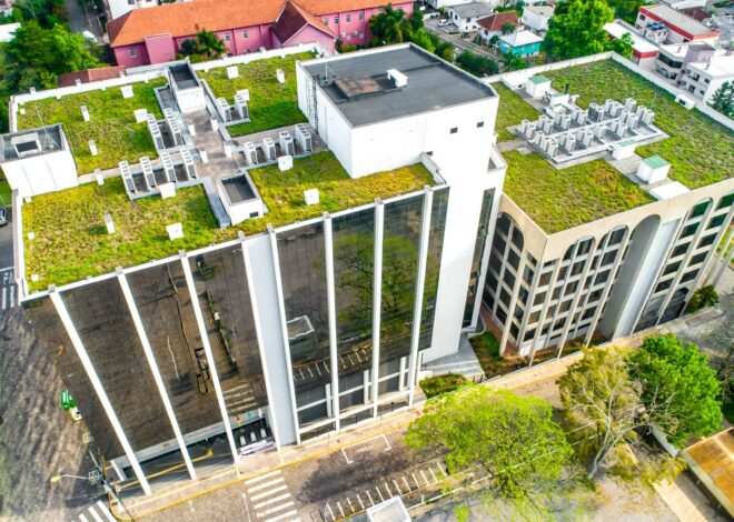 Green roofs: el avance de una tendencia que transformará a las ciudades Green roofs: el avance de una tendencia que transformará a las ciudades