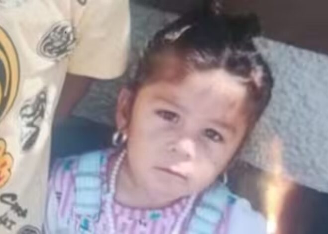 Qué es la Alerta Sofía y por qué es clave para encontrar a niños desaparecidos