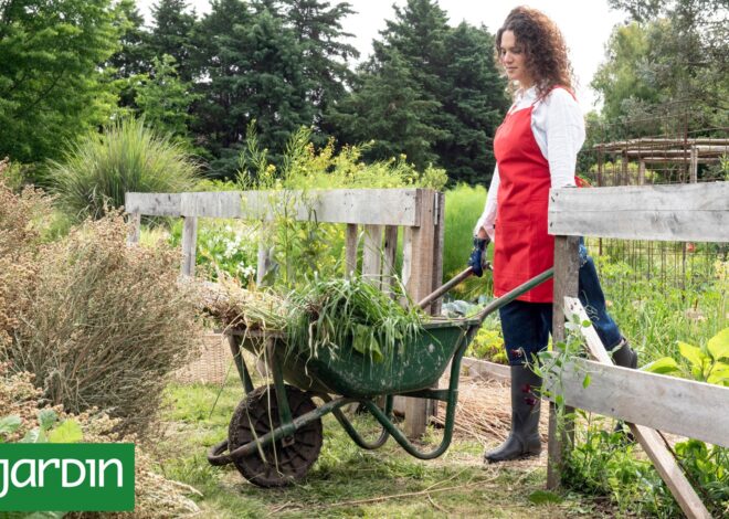 Fin del verano: 10 tareas para que el jardín llegue fuerte al otoño Fin del verano: 10 tareas para que el jardín llegue fuerte al otoño