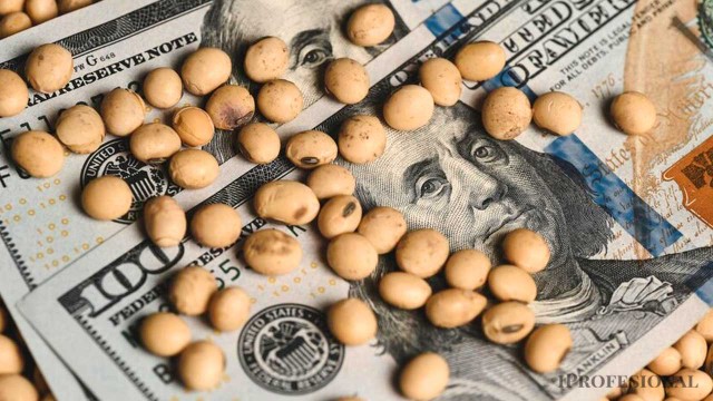 Precios de granos: la guerra en Medio Oriente impulsa la soja y el aceite en el mercado de Chicago
