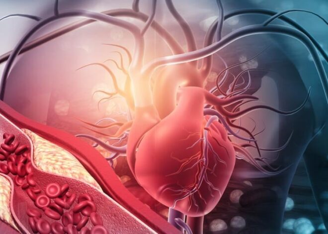 Triglicéridos altos: los alimentos clave que ayudan a reducirlos naturalmente y proteger el corazón Triglicéridos altos: los alimentos clave que ayudan a reducirlos naturalmente y proteger el corazón