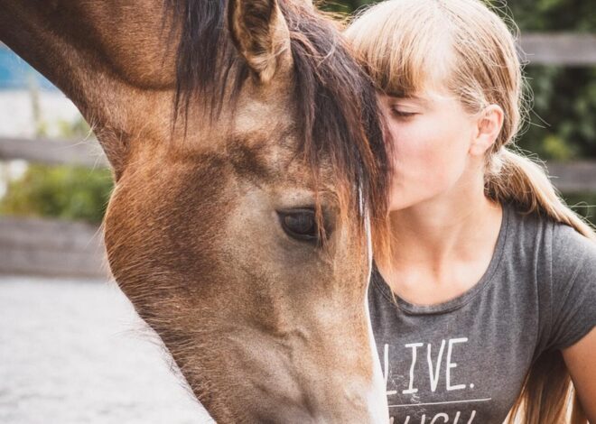 Lecciones que nos da el corazón de los caballos Lecciones que nos da el corazón de los caballos