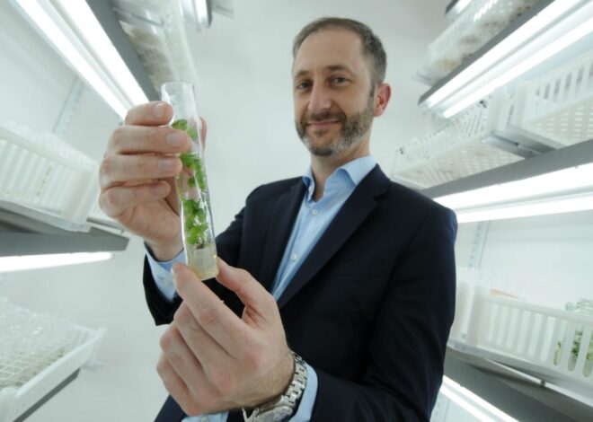 “Estamos evaluando”: Bioceres Crop Solutions tuvo un rojo de US$189,9 millones, el CEO habló de los motivos y admitió una posible desinversión en activos “Estamos evaluando”: Bioceres Crop Solutions tuvo un rojo de US$189,9 millones, el CEO habló de los motivos y admitió una posible desinversión en activos
