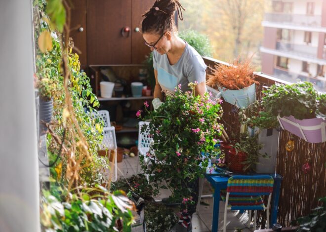 Las plantas que los especialistas recomiendan poner en el balcón para “limpiar el aire” Las plantas que los especialistas recomiendan poner en el balcón para “limpiar el aire”
