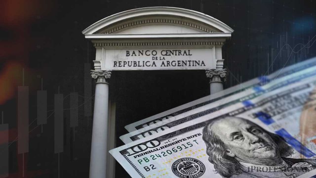 "Dólares por las orejas": BCRA rompe récord de compra de reservas en un año