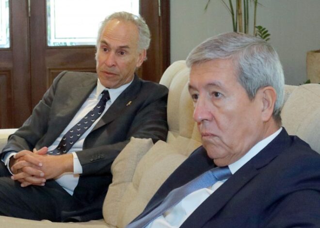 Fuerte especulación con la acción de Transener en medio de la privatización Fuerte especulación con la acción de Transener en medio de la privatización
