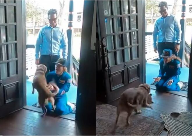 El reencuentro de la astronauta Christina Koch con su perrita tras la misión de Artemis II El reencuentro de la astronauta Christina Koch con su perrita tras la misión de Artemis II