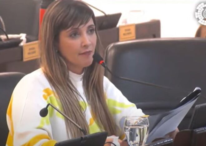 La Corte rechazó el recurso de queja de una intendenta condenada a pagar 17 millones a un funcionario por agravios en las redes sociales La Corte rechazó el recurso de queja de una intendenta condenada a pagar 17 millones a un funcionario por agravios en las redes sociales