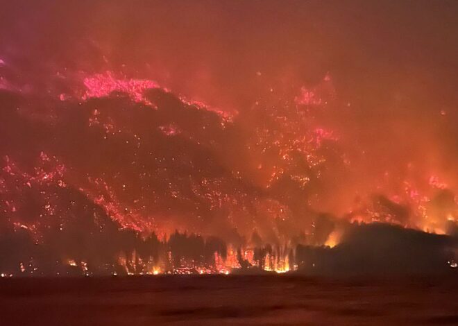 Temporada devastadora: qué podemos (y debemos) aprender de los incendios forestales de este verano en la Patagonia