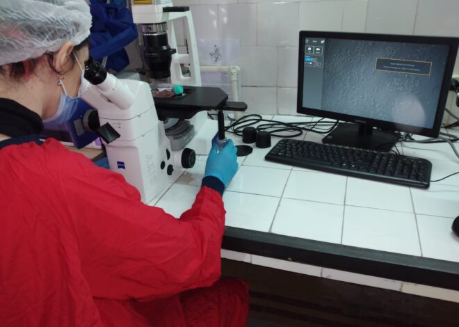 Peligran tratamientos contra el cáncer: la desesperada iniciativa del Hospital Roffo para conseguir fondos Peligran tratamientos contra el cáncer: la desesperada iniciativa del Hospital Roffo para conseguir fondos