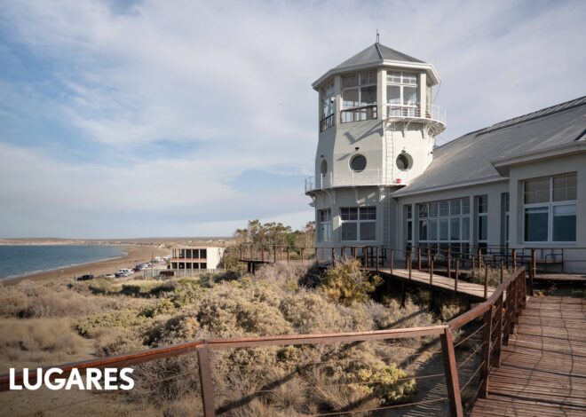 Puerto Madryn: 5 planes para disfrutar de la ciudad que tiene mucho más que ballenas
