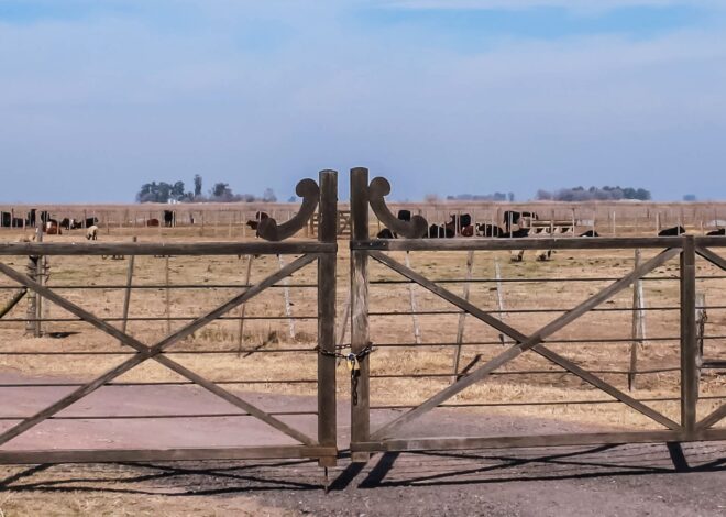 Tierras rurales: una reforma para cerrar un ciclo Tierras rurales: una reforma para cerrar un ciclo