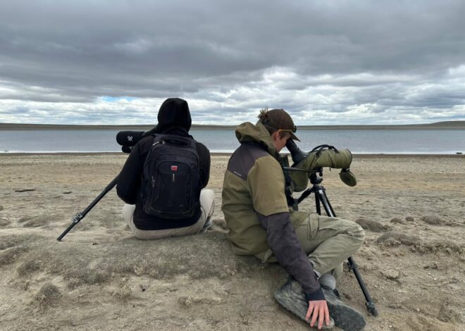 Hay menos de 1000: un inédito acuerdo de “convivencia” permitirá proteger a una de las aves más amenazadas Hay menos de 1000: un inédito acuerdo de “convivencia” permitirá proteger a una de las aves más amenazadas